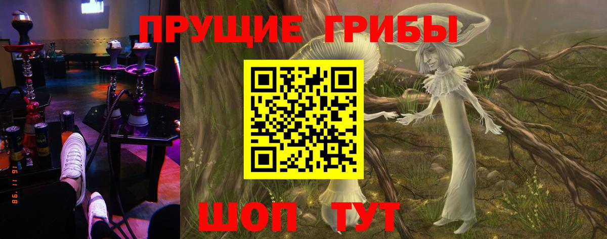 Псилоцибиновые грибы Psilocybine cubensis  Вход с VPN  Дзержинск 